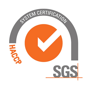 the SGS logo 01