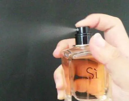 Manufacturing process of perfume pumps 1 1
